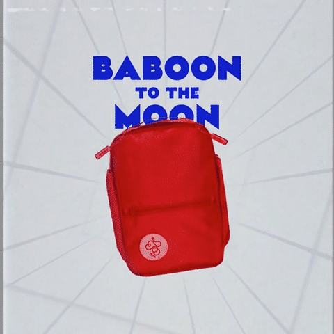 BTM-Backpack